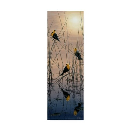 Trademark Fine Art Jeff Tift 'Morning Call' Canvas Art, 8x24 ALI30259-C824GG